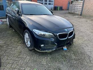 škoda osobní automobily BMW 2-serie 218d 2015/4