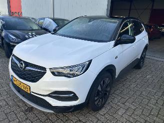 Ocazii auto utilitare Opel Grandland X  1.2 Turbo Business Executive 2020/3