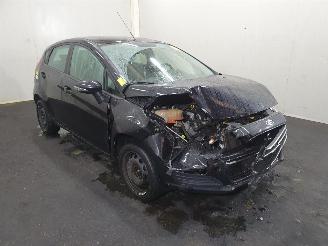 Unfall Kfz Roller Ford Fiesta Style 2015/11
