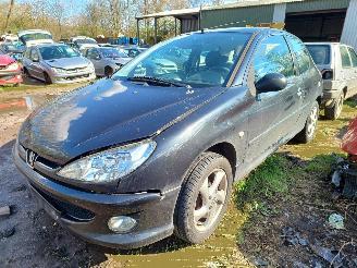 Auto incidentate Peugeot 206 1.4 Forever 2008/3
