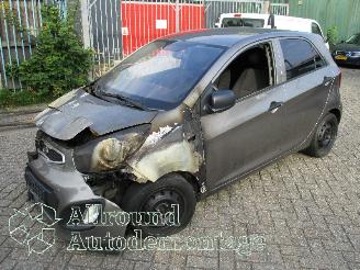 uszkodzony samochody osobowe Kia Picanto Picanto (TA) Hatchback 1.0 12V (G3LA) [51kW]  (05-2011/06-2017) 2012/5