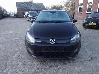  Volkswagen Polo  2013/10