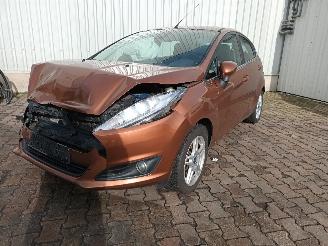 škoda osobní automobily Ford Fiesta Fiesta 6 (JA8) Hatchback 1.0 EcoBoost 12V 100 (SFJA(Euro 5)) [74kW]  (=
01-2013/06-2017) 2013/3