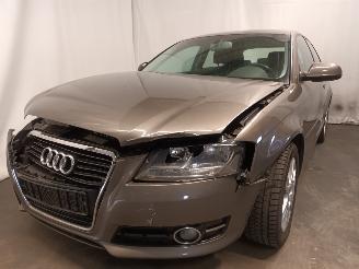 škoda osobní automobily Audi A3 A3 (8P1) Hatchback 3-drs 1.4 TFSI 16V (CAXC) [92kW]  (09-2007/08-2012)= 2010/3