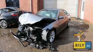 škoda nákladních automobilů BMW 3-serie E92 335d A 2007/1