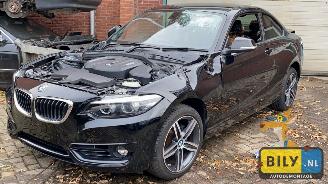 demontáž osobní automobily BMW Fox F22 218i 2018/9
